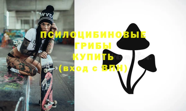 2c-b Покачи