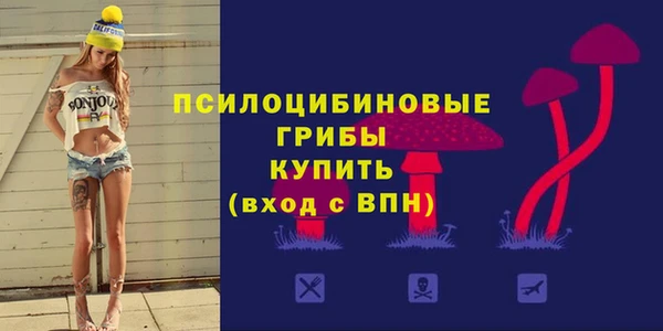 2c-b Покачи
