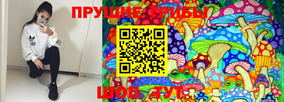 Псилоцибиновые грибы GOLDEN TEACHER Заринск